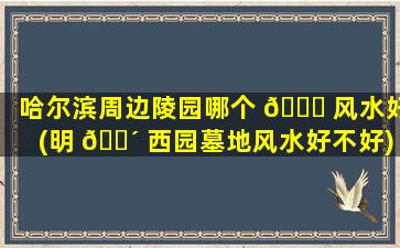 哈尔滨周边陵园哪个 🐕 风水好(明 🐴 西园墓地风水好不好)